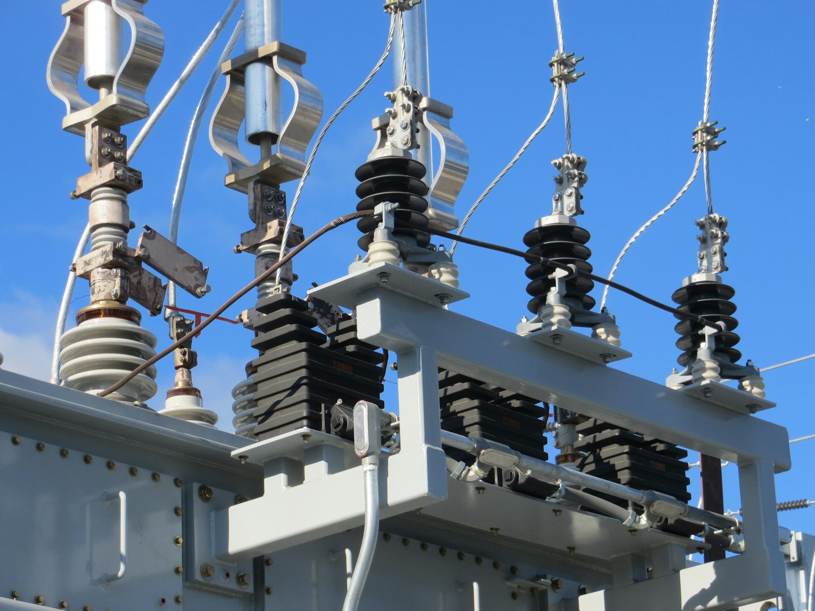 Photo by American Public Power Association